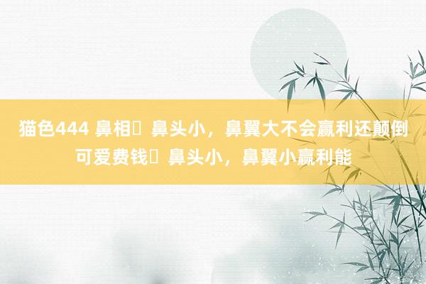 猫色444 鼻相❶鼻头小，鼻翼大不会赢利还颠倒可爱费钱❷鼻头小，鼻翼小赢利能