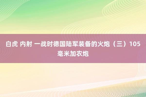 白虎 内射 一战时德国陆军装备的火炮（三）105毫米加农炮