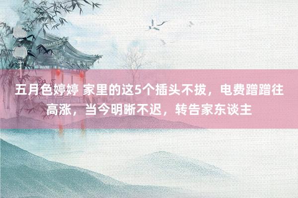 五月色婷婷 家里的这5个插头不拔，电费蹭蹭往高涨，当今明晰不迟，转告家东谈主