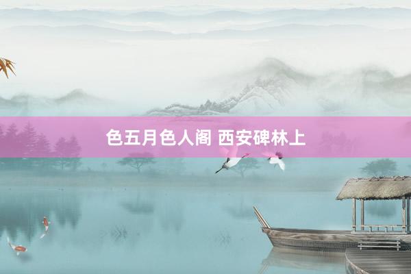 色五月色人阁 西安碑林上