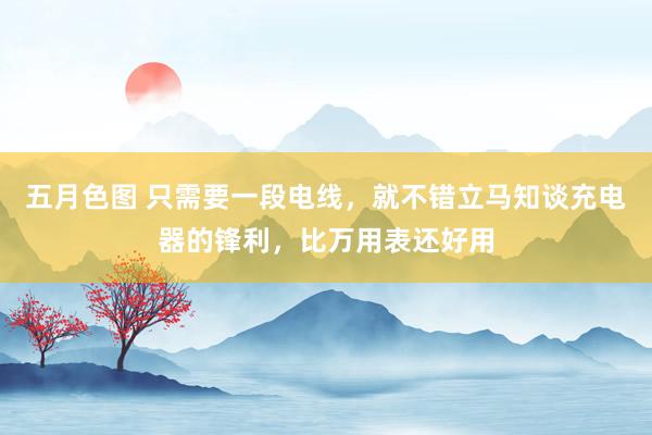 五月色图 只需要一段电线，就不错立马知谈充电器的锋利，比万用表还好用