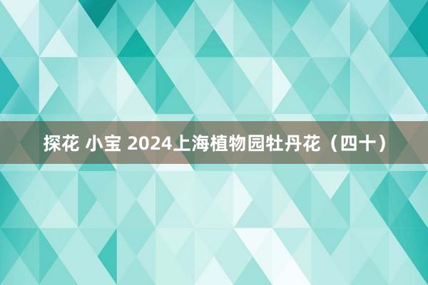 探花 小宝 2024上海植物园牡丹花（四十）