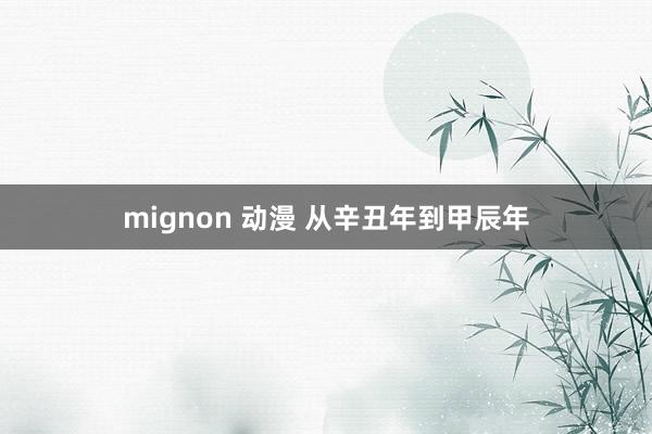 mignon 动漫 从辛丑年到甲辰年