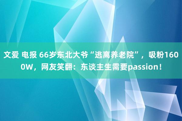 文爱 电报 66岁东北大爷“逃离养老院”，吸粉1600W，网友笑翻：东谈主生需要passion！